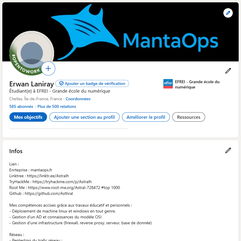 Aperçu LinkedIn